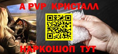 спиды Гусев